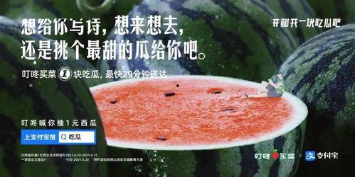 娱乐吃瓜文案怎么弄的啊