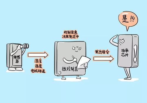 娱乐吃瓜冷知识