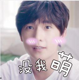 关于杨洋表情包